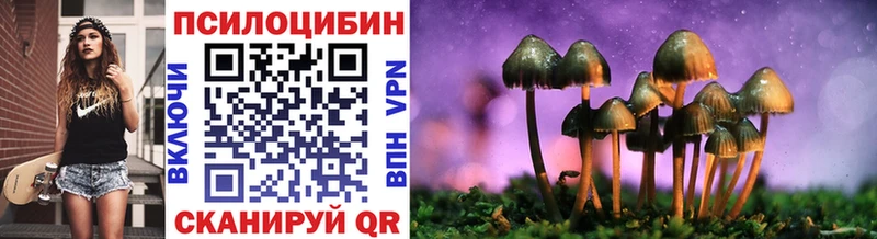 где купить наркоту  Апрелевка  Галлюциногенные грибы Magic Shrooms 